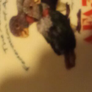 The American federation of aviculture salad plate / wall hanging